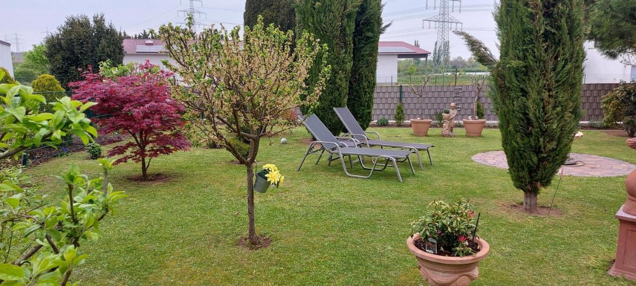 Ferienwohnung Zum Weinberg 그로스카를바흐 외부 사진