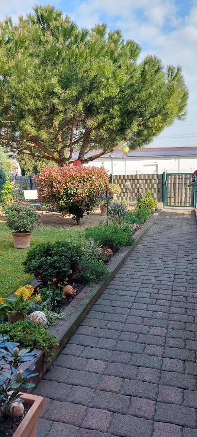 Ferienwohnung Zum Weinberg 그로스카를바흐 외부 사진