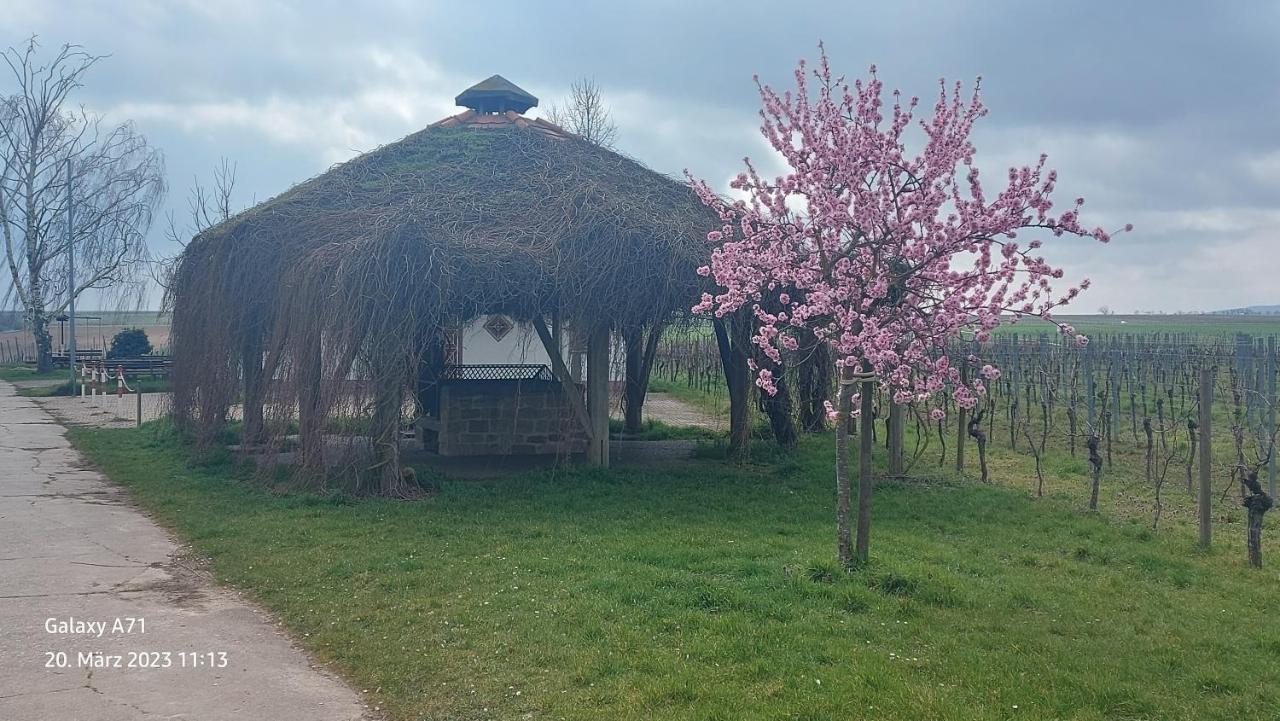 Ferienwohnung Zum Weinberg 그로스카를바흐 외부 사진