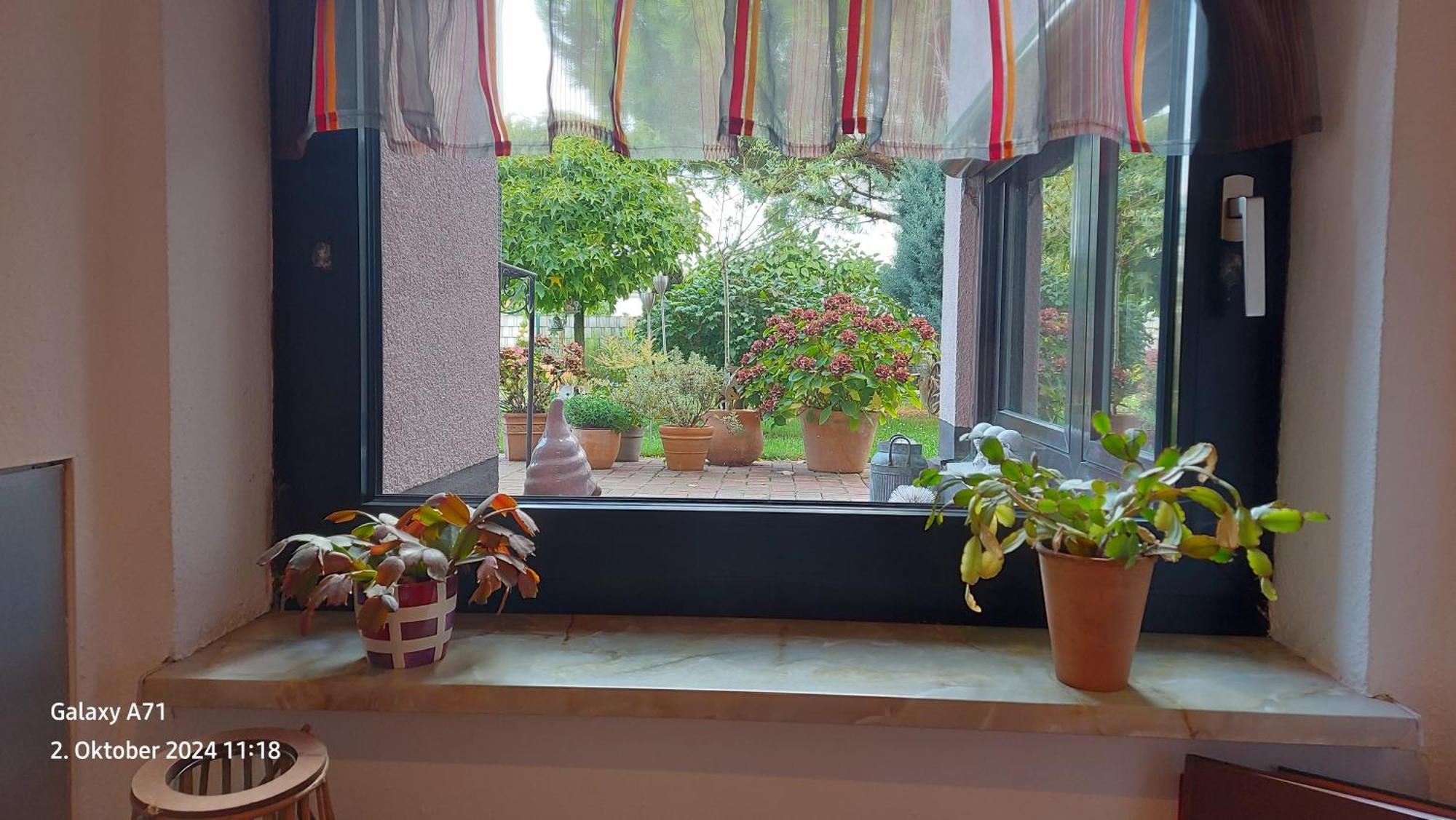Ferienwohnung Zum Weinberg 그로스카를바흐 외부 사진