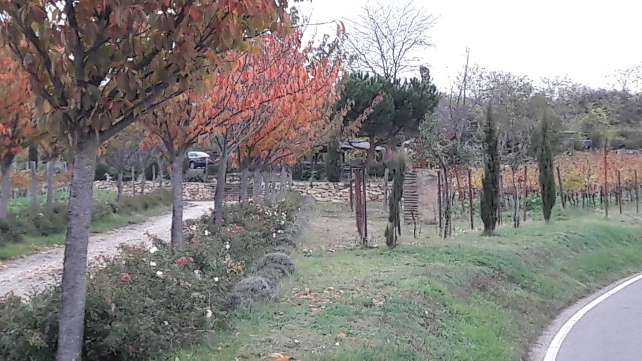 Ferienwohnung Zum Weinberg 그로스카를바흐 외부 사진